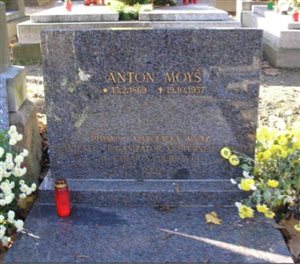 anton moys